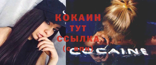 индика Мосальск