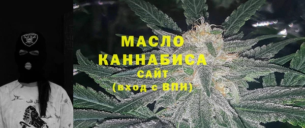 индика Мосальск