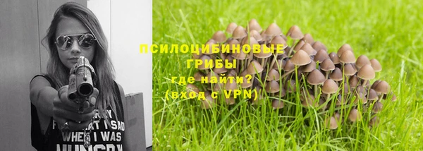 не бодяженный Тобольск