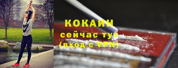 дживик Моршанск
